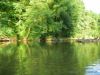  photo-peche-a-la-mouche-09et10-juillet-2011-4.JPG 