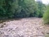 photo-peche-a-la-mouche-09et10-juillet-2011-5.JPG 