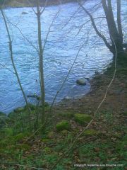 photo-peche-a-la-mouche-berges-nive-dec2011.JPG