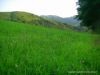  photo-peche-a-la-mouche-fin-juin2011-1.JPG 