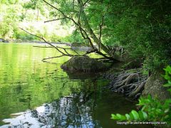 photo-peche-a-la-mouche-fin-juin2011-7.JPG
