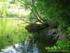 photo-peche-a-la-mouche-fin-juin2011-7.JPG 