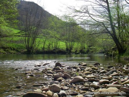 photo-peche-a-la-mouche-nive-baigorry-pays-basque-31mars2011-5.jpg