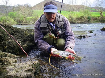 Photo de truite - peche a la mouche - Grande Nive Pays Basque - 27 mars 20110, mar. 2011 Photo de truite - peche a la mouche - Grande Nive Pays Basque - 27 mars 20110