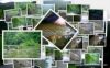  photos-peche-a-la-mouche-nive pays basque juin 2011 
