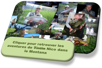 nico peche mouche Montana