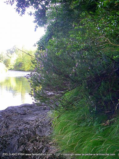 photo-berge-nive-paysbaque-24juin2012-002.jpg, juin 2012 photo-berge-nive-paysbaque-24juin2012-002.jpg