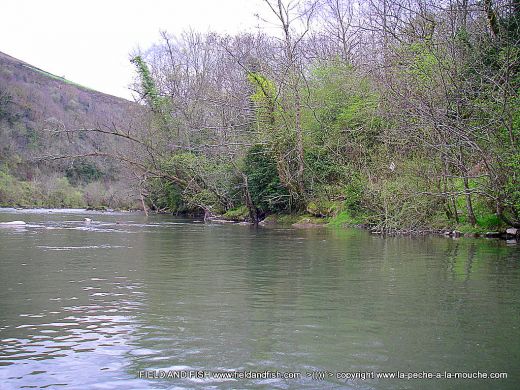 photo-berge-nive-paysbasque-07avril2012.jpg