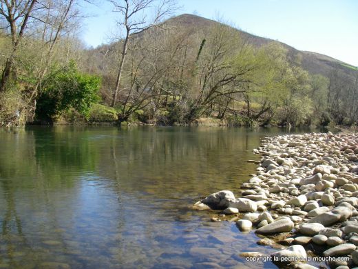 photo-berges-grande-nive-paysbasque-mars2012-007.jpg, mar. 2012 photo-berges-grande-nive-paysbasque-mars2012-007.jpg