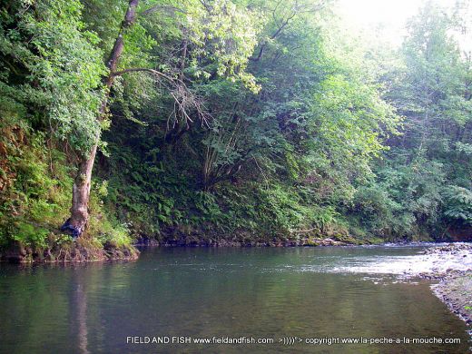 photo-nive-baigorry-pays-basque-sept2012-003.jpg, sept. 2012 photo-nive-baigorry-pays-basque-sept2012-003.jpg