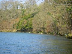 photo-peche-a-la-mouche-berges-gave-oloron-bearn-17mars2012-1.JPG