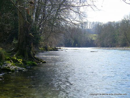 photo-peche-a-la-mouche-berges-gave-oloron-bearn-17mars2012-2.jpg