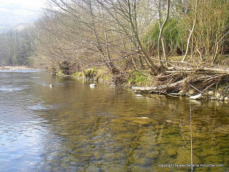 photo-truite-peche-a-la-mouche-50cm-11mars2012-1.jpg