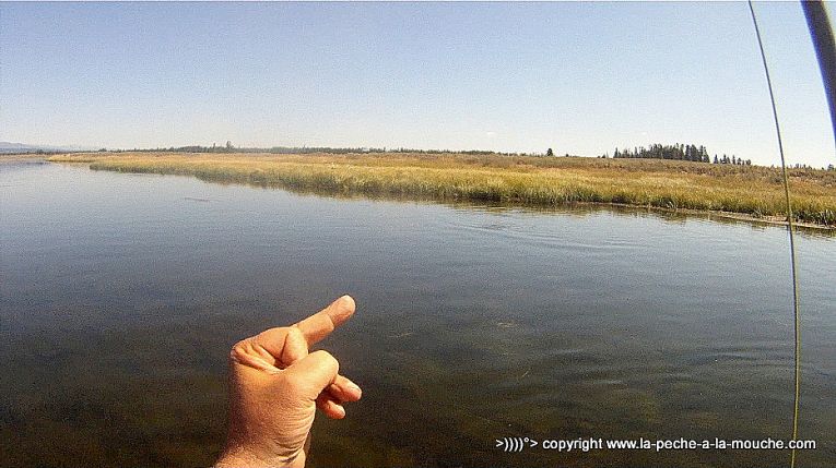 ferrage-truite-peche-a-la-mouche-henrys-fork-river-idaho-trip2012-002.jpg, janv. 2013 ferrage-truite-peche-a-la-mouche-henrys-fork-river-idaho-trip2012-002.jpg