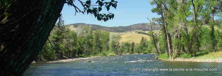 film-peche-a-la-mouche-et-au-milieu-coule-une-riviere-gallatin.jpg, déc. 2012 film-peche-a-la-mouche-et-au-milieu-coule-une-riviere-gallatin.jpg