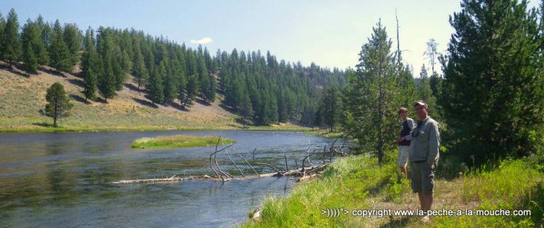 madison-parc-yellowstone.jpg