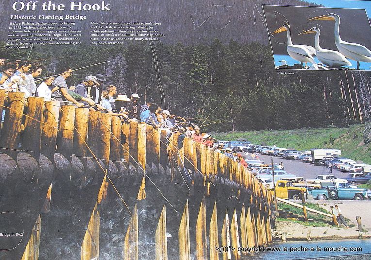 peche-a-la-mouche-fishing-bridge-parc-yellowstone.jpg