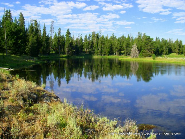 peche-a-la-mouche-harriman-state-park-henrys-fork-river-idaho-trip2012-001.jpg, janv. 2013 peche-a-la-mouche-harriman-state-park-henrys-fork-river-idaho-trip2012-001.jpg
