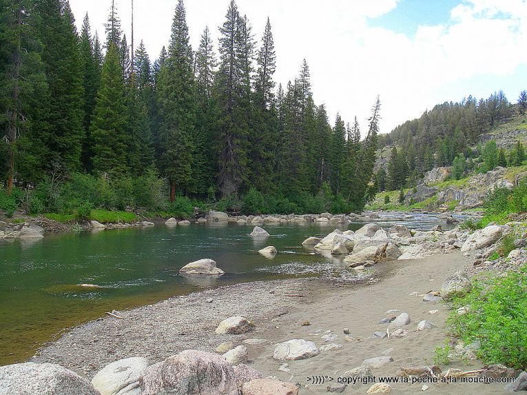 peche-a-la-mouche-larmar-parc-yellowstone-002.jpg