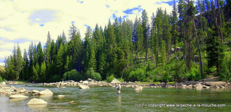 peche-a-la-mouche-larmar-parc-yellowstone-1.jpg