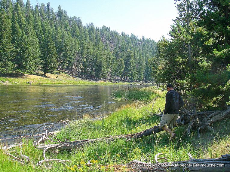 peche-a-la-mouche-parc-yellowstone-1.jpg