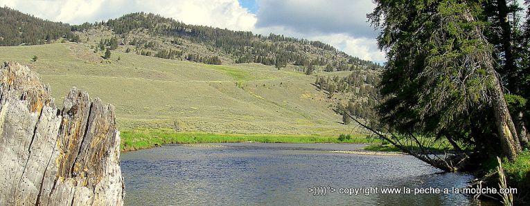 peche-a-la-mouche-slough-creek-parc-yellowstone.jpg