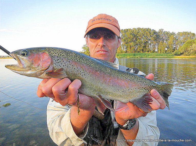 peche-a-la-mouche-truite-big-horn-023.jpg