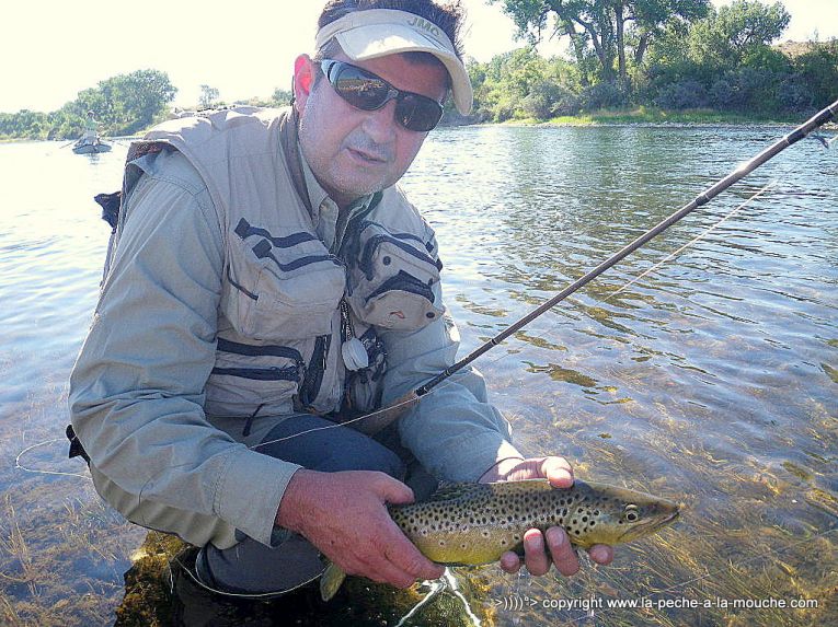 peche-a-la-mouche-truite-fario-big-horn.jpg, mar. 2013 peche-a-la-mouche-truite-fario-big-horn.jpg