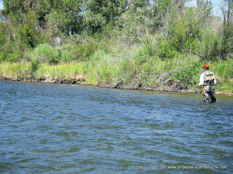 peche-a-la-mouche-varney-bridge-madison-montana-006.jpg