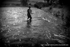 peche-a-la-mouche-varney-bridge-madison-montana-021.jpg