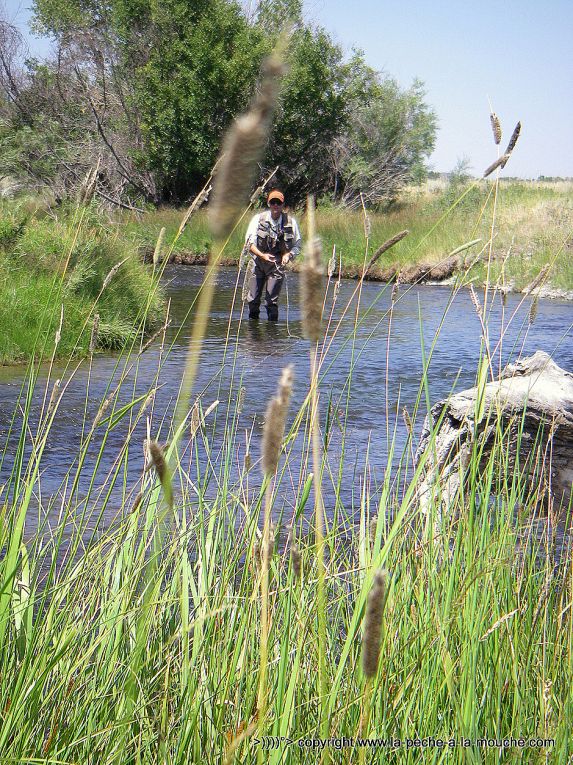 peche-a-la-mouche-varney-bridge-madison-montana-1.jpg