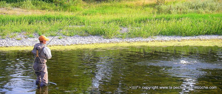 pecheur-a-la-mouche-truite-big-horn-003.jpg, mar. 2013 pecheur-a-la-mouche-truite-big-horn-003.jpg
