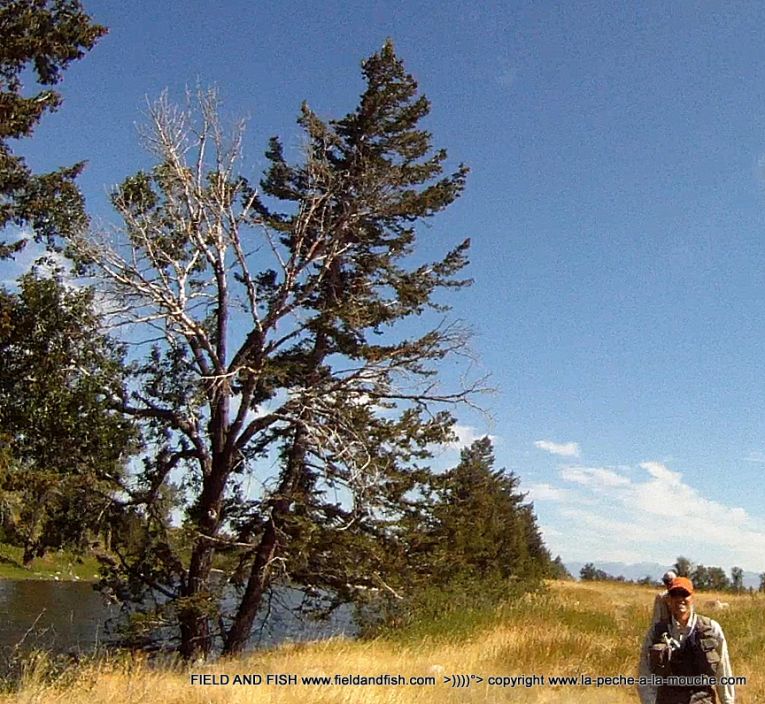 photo-pecheur-mouche-berge-gallatin-montana.jpg