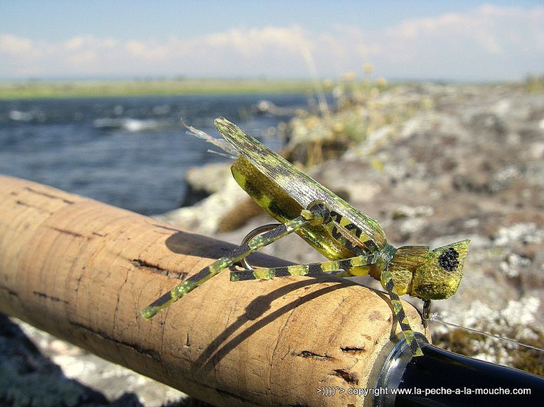 sauterelle-peche-a-la-mouche-henrys-fork-river-idaho-trip2012-001.jpg, janv. 2013 sauterelle-peche-a-la-mouche-henrys-fork-river-idaho-trip2012-001.jpg