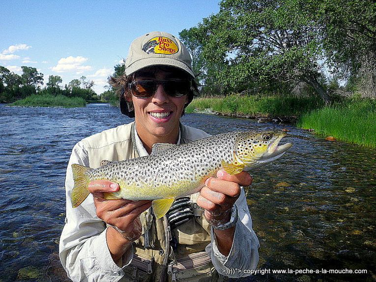 truite-peche-a-la-mouche-varney-bridge-madison-montana-010.jpg
