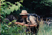 Yvon ZILL, guide de peche tenkara