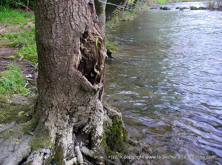 berges-grande-nive-peche-a-la-mouche-002.jpg, avr. 2013 berges-grande-nive-peche-a-la-mouche-002.jpg