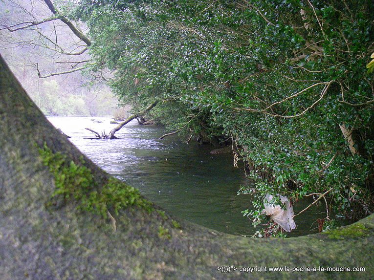 berges-grande-nive-peche-a-la-mouche-1.jpg, avr. 2013 berges-grande-nive-peche-a-la-mouche-1.jpg