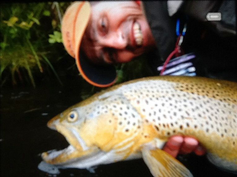 grosse-truite-peche-mouche-islande2.jpg, juil. 2013 grosse-truite-peche-mouche-islande2.jpg