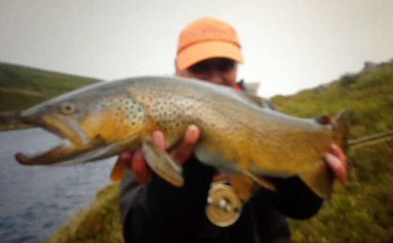 grosse-truite-peche-mouche-islande3.jpg, juil. 2013 grosse-truite-peche-mouche-islande3.jpg