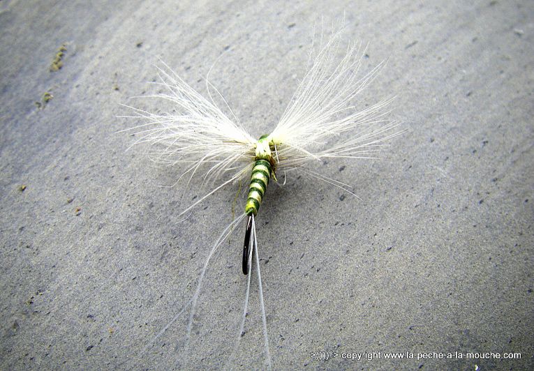 montage-mouche-oligoneuriella-rhenana.jpg, nov. 2013 montage-mouche-oligoneuriella-rhenana.jpg