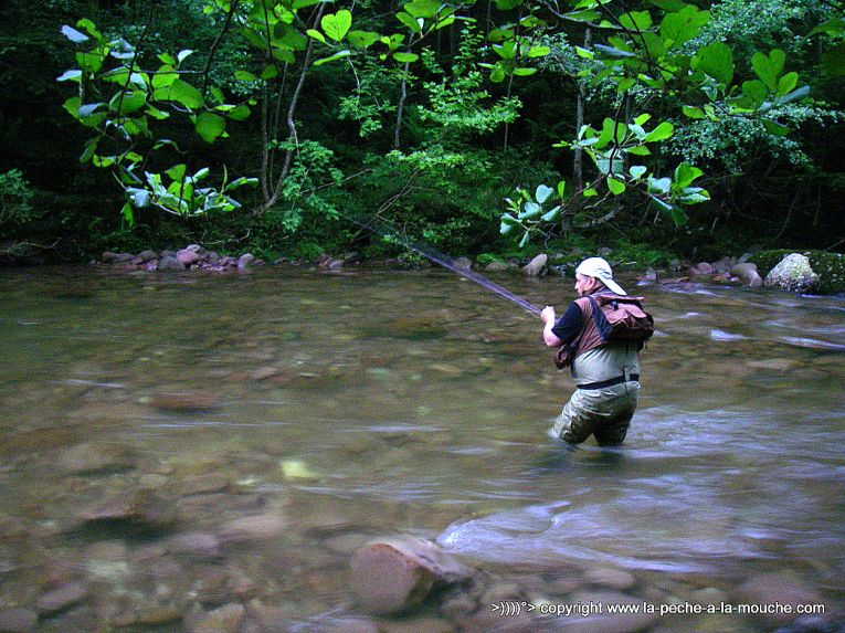 olvier-bernasson-pecheur-com-peche-bastan-11juin2013.jpg, juin 2013 olvier-bernasson-pecheur-com-peche-bastan-11juin2013.jpg