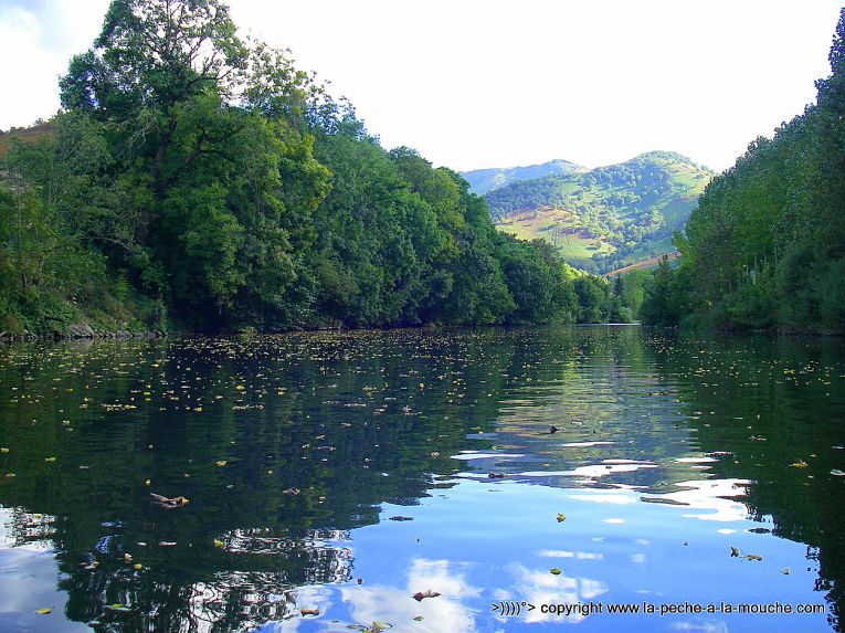 peche-a-la-mouche-no-kill-st-martin-arrossa-1.jpg, oct. 2013 peche-a-la-mouche-no-kill-st-martin-arrossa-1.jpg