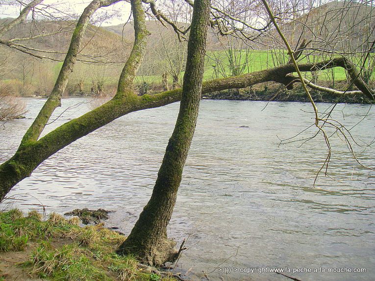 photo-grande-nive-pays-basque-ouverture-peche-2013-002.jpg