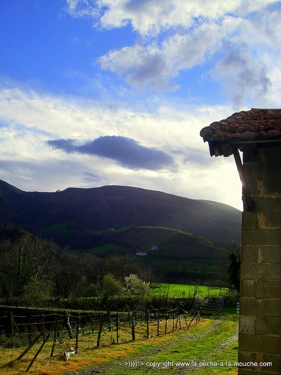 photo-grande-nive-pays-basque-ouverture-peche-2013-004.jpg