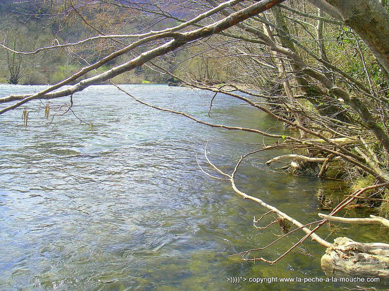 photo-grande-nive-pays-basque-ouverture-peche-2013-1.jpg, mar. 2013 photo-grande-nive-pays-basque-ouverture-peche-2013-1.jpg