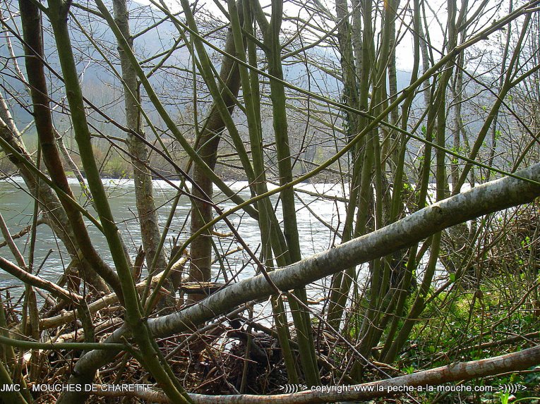 ouverture-peche-mouche-2014-002.jpg, mar. 2014 ouverture-peche-mouche-2014-002.jpg