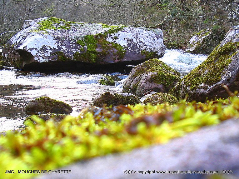 ouverture-peche-mouche-ambiance1.jpg, janv. 2014 ouverture-peche-mouche-ambiance1.jpg