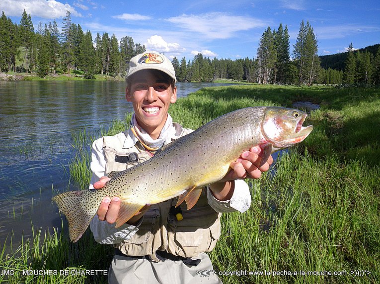 peche truite yellowstone