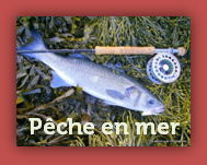 peche a la mouche en mer peche a la mouche en mer